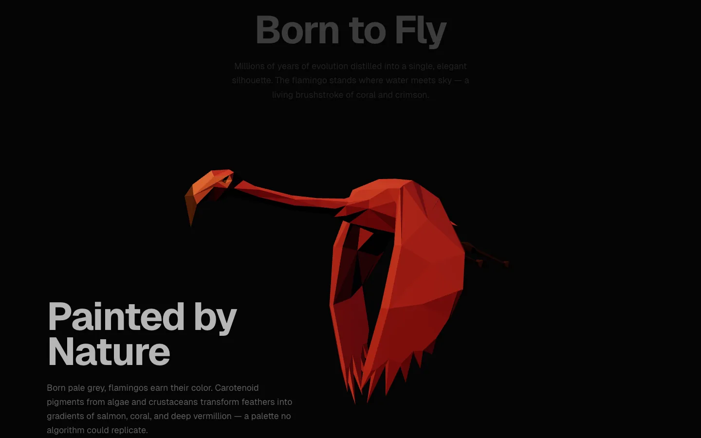 Flamingos — 2